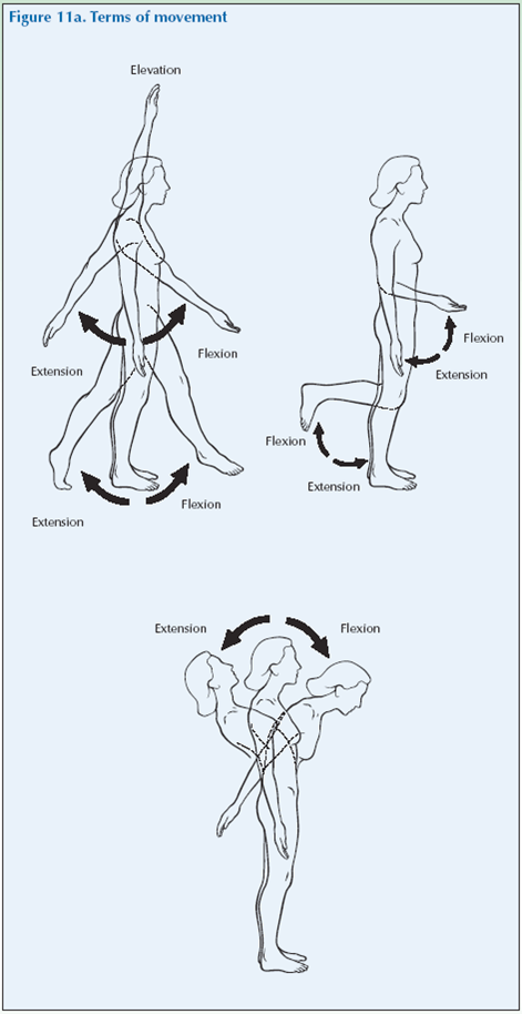 Fig 11a