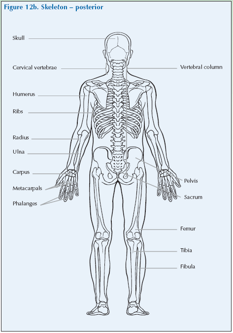 Fig 12b