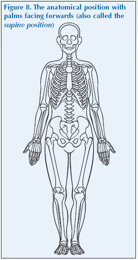 Fig 8