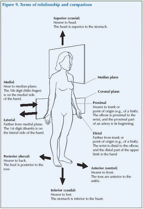 Fig 9